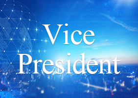 Vice President