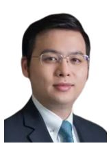 常务会长 南逸
